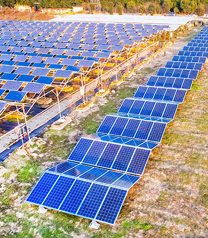 Senta Energia Co., Ltd.