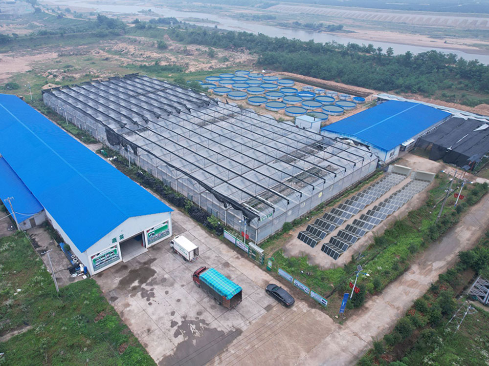 Solar Power Containers for Alimentazione autonoma